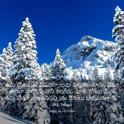 Picture 03 - మార్కు 16:18 TELIRV - తమ చేతులతో - Bible Verse Picture