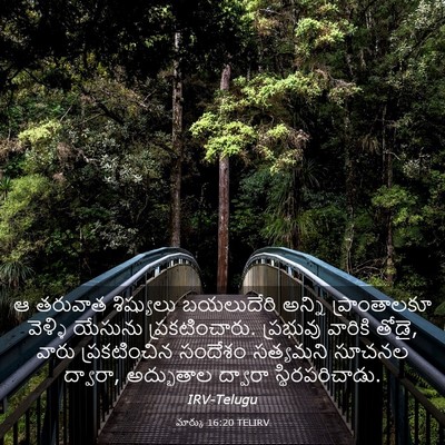 Picture 03 - మార్కు 16:20 TELIRV - ఆ తరువాత శిష్యులు - Bible Verse Picture