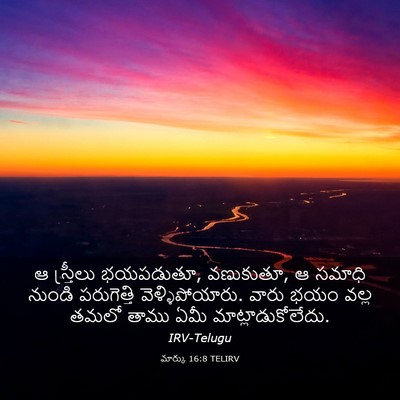 Picture 03 - మార్కు 16:8 TELIRV - ఆ స్త్రీలు - Bible Verse Picture