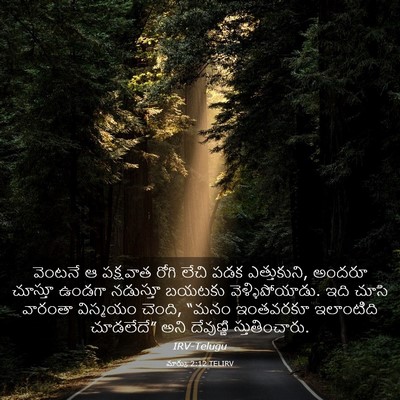 Picture 03 - మార్కు 2:12 TELIRV - వెంటనే ఆ పక్షవాత - Bible Verse Picture