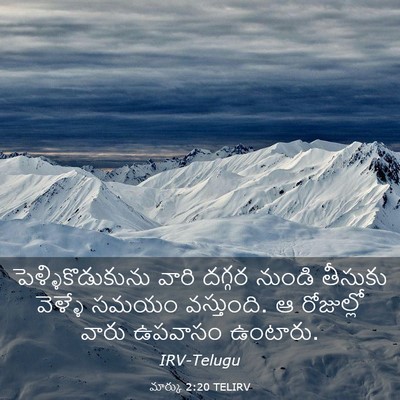 Picture 03 - మార్కు 2:20 TELIRV - పెళ్ళికొడుకును - Bible Verse Picture