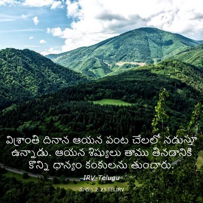 Picture 03 - మార్కు 2:23 TELIRV - విశ్రాంతి దినాన - Bible Verse Picture