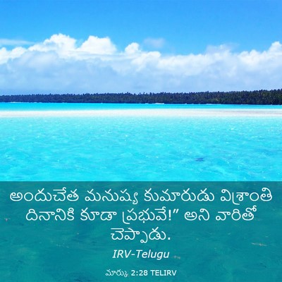 Picture 03 - మార్కు 2:28 TELIRV - అందుచేత మనుష్య - Bible Verse Picture