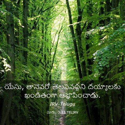 Picture 03 - మార్కు 3:12 TELIRV - యేసు, తానెవరో - Bible Verse Picture