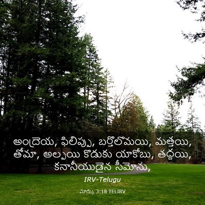 Picture 03 - మార్కు 3:18 TELIRV - అంద్రెయ, ఫిలిప్పు, - Bible Verse Picture