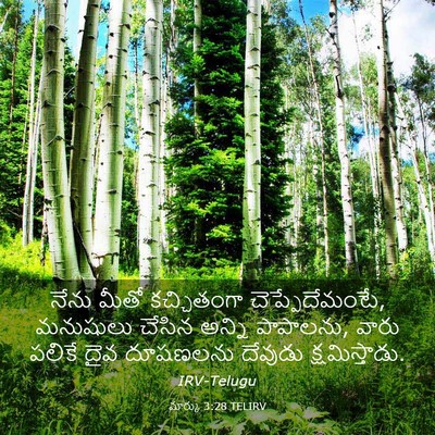 Picture 03 - మార్కు 3:28 TELIRV - నేను మీతో - Bible Verse Picture