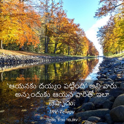 Picture 03 - మార్కు 3:30 TELIRV - ‘ఆయనకు దయ్యం - Bible Verse Picture