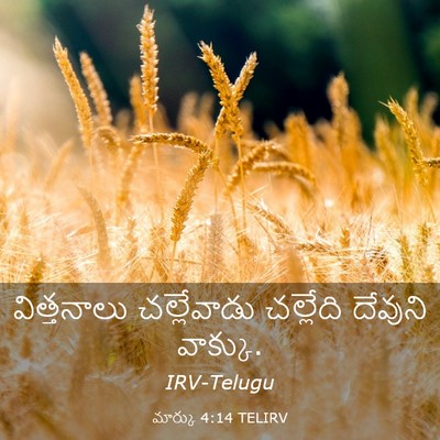 Picture 03 - మార్కు 4:14 TELIRV - విత్తనాలు - Bible Verse Picture