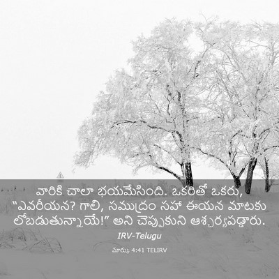 Picture 03 - మార్కు 4:41 TELIRV - వారికి చాలా - Bible Verse Picture