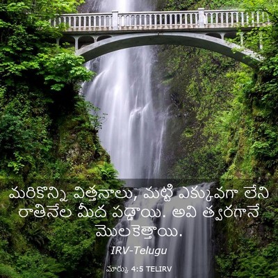 Picture 03 - మార్కు 4:5 TELIRV - మరికొన్ని - Bible Verse Picture