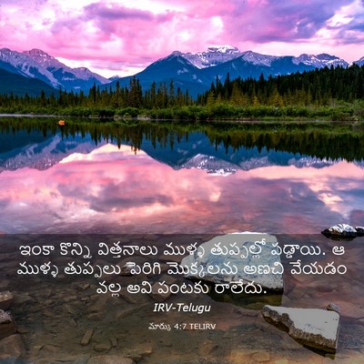 Picture 03 - మార్కు 4:7 TELIRV - ఇంకా కొన్ని - Bible Verse Picture