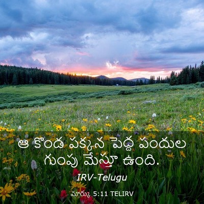 Picture 03 - మార్కు 5:11 TELIRV - ఆ కొండ పక్కన పెద్ద - Bible Verse Picture