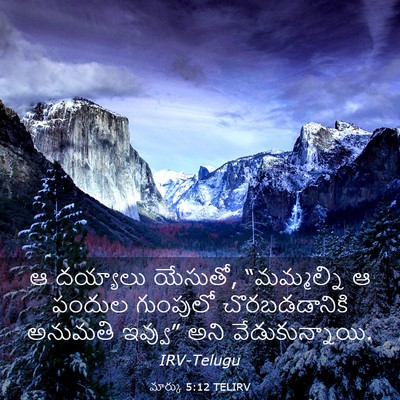 Picture 03 - మార్కు 5:12 TELIRV - ఆ దయ్యాలు యేసుతో, - Bible Verse Picture