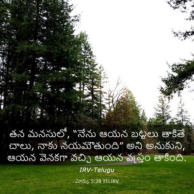 Picture 03 - మార్కు 5:28 TELIRV - తన మనసులో, “నేను - Bible Verse Picture