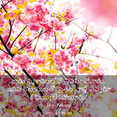 Picture 03 - మార్కు 5:3 TELIRV - వాడు స్మశానంలోనే - Bible Verse Picture