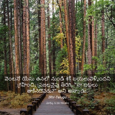 Picture 03 - మార్కు 5:30 TELIRV - వెంటనే యేసు తనలో - Bible Verse Picture