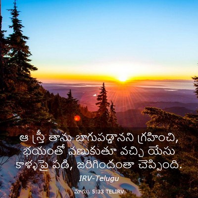 Picture 03 - మార్కు 5:33 TELIRV - ఆ స్త్రీ తాను - Bible Verse Picture