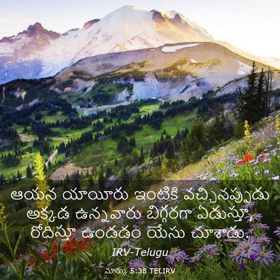 Picture 03 - మార్కు 5:38 TELIRV - ఆయన యాయీరు ఇంటికి - Bible Verse Picture