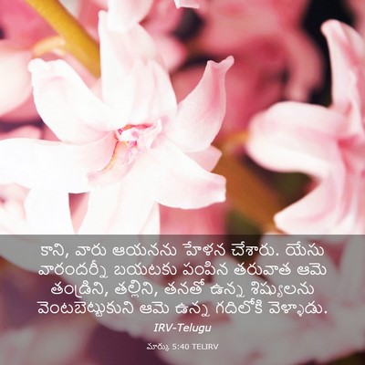 Picture 03 - మార్కు 5:40 TELIRV - కాని, వారు ఆయనను - Bible Verse Picture
