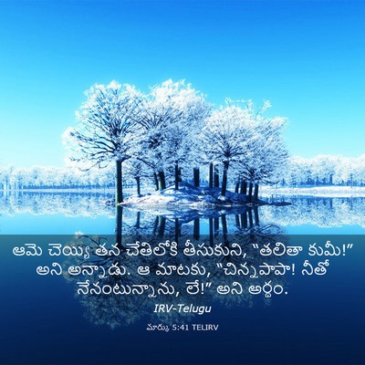 Picture 03 - మార్కు 5:41 TELIRV - ఆమె చెయ్యి తన - Bible Verse Picture