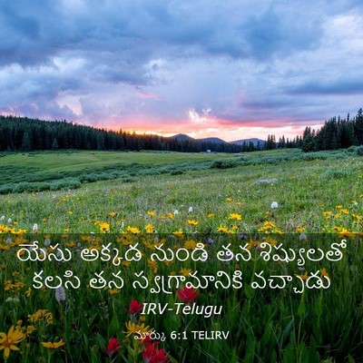 Picture 03 - మార్కు 6:1 TELIRV - యేసు అక్కడ నుండి - Bible Verse Picture