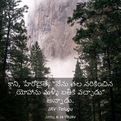 Picture 03 - మార్కు 6:16 TELIRV - కాని, హేరోదైతే, - Bible Verse Picture