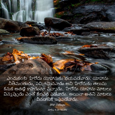 Picture 03 - మార్కు 6:20 TELIRV - ఎందుకంటే హేరోదు - Bible Verse Picture