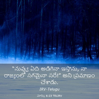 Picture 03 - మార్కు 6:23 TELIRV - “నువ్వు ఏది - Bible Verse Picture