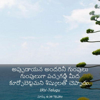 Picture 03 - మార్కు 6:39 TELIRV - అప్పుడాయన అందరినీ - Bible Verse Picture