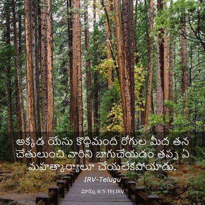 Picture 03 - మార్కు 6:5 TELIRV - అక్కడ యేసు - Bible Verse Picture
