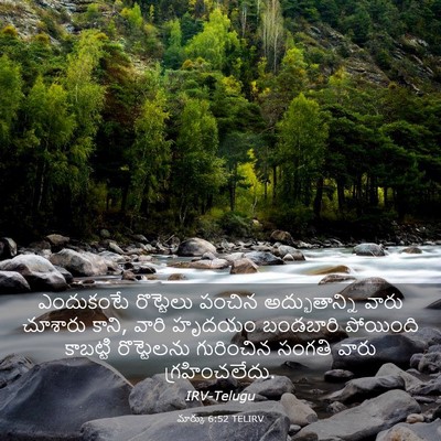Picture 03 - మార్కు 6:52 TELIRV - ఎందుకంటే రొట్టెలు - Bible Verse Picture