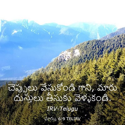 Picture 03 - మార్కు 6:9 TELIRV - చెప్పులు - Bible Verse Picture