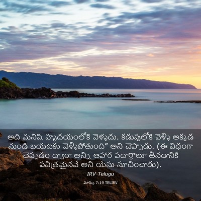 Picture 03 - మార్కు 7:19 TELIRV - అది మనిషి - Bible Verse Picture