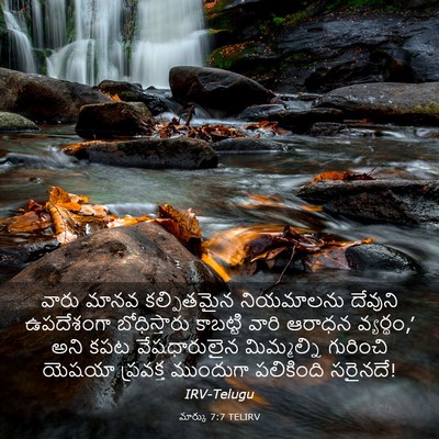 Picture 03 - మార్కు 7:7 TELIRV - వారు మానవ - Bible Verse Picture