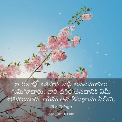 Picture 03 - మార్కు 8:1 TELIRV - ఆ రోజుల్లో ఒకసారి - Bible Verse Picture