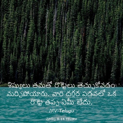 Picture 03 - మార్కు 8:14 TELIRV - శిష్యులు తమతో - Bible Verse Picture