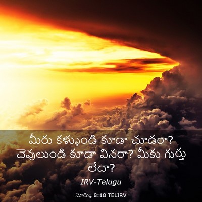 Picture 03 - మార్కు 8:18 TELIRV - మీరు కళ్ళుండి - Bible Verse Picture