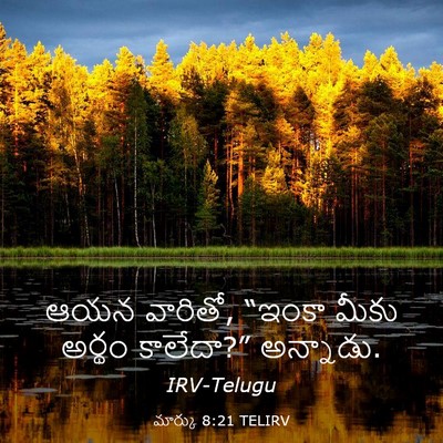 Picture 03 - మార్కు 8:21 TELIRV - ఆయన వారితో, “ఇంకా - Bible Verse Picture