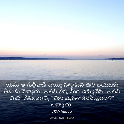 Picture 03 - మార్కు 8:23 TELIRV - యేసు ఆ గుడ్డివాడి - Bible Verse Picture