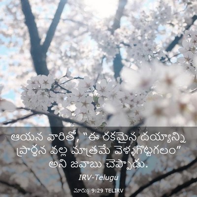 Picture 03 - మార్కు 9:29 TELIRV - ఆయన వారితో, “ఈ - Bible Verse Picture