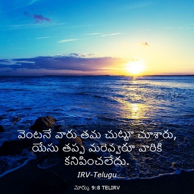 Picture 03 - మార్కు 9:8 TELIRV - వెంటనే వారు తమ - Bible Verse Picture