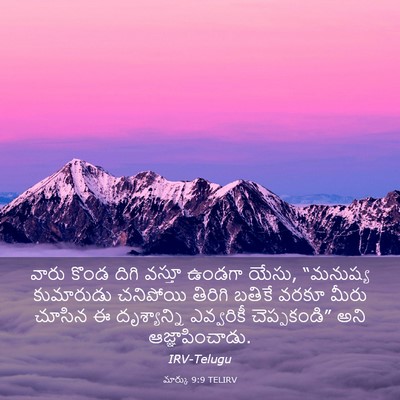 Picture 03 - మార్కు 9:9 TELIRV - వారు కొండ దిగి - Bible Verse Picture
