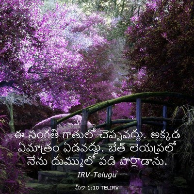 Picture 03 - మీకా 1:10 TELIRV - ఈ సంగతి గాతులో - Bible Verse Picture