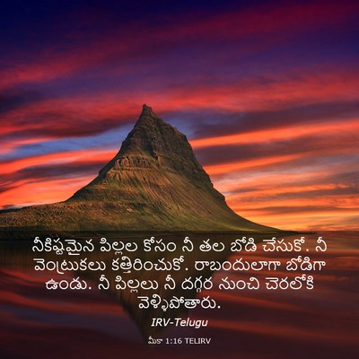 Picture 03 - మీకా 1:16 TELIRV - నీకిష్టమైన పిల్లల - Bible Verse Picture