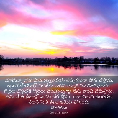 Picture 03 - మీకా 2:12 TELIRV - యాకోబూ, నేను - Bible Verse Picture