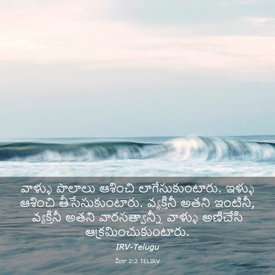 Picture 03 - మీకా 2:2 TELIRV - వాళ్ళు పొలాలు - Bible Verse Picture