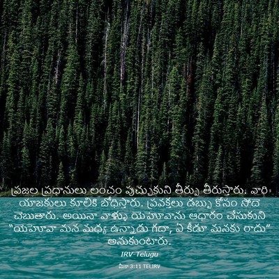 Picture 03 - మీకా 3:11 TELIRV - ప్రజల ప్రధానులు - Bible Verse Picture