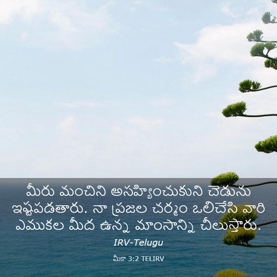 Picture 03 - మీకా 3:2 TELIRV - మీరు మంచిని - Bible Verse Picture