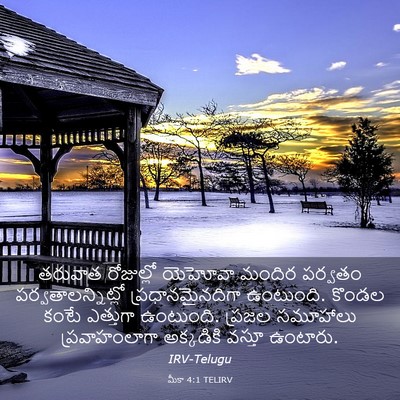 Picture 03 - మీకా 4:1 TELIRV - తరువాత రోజుల్లో - Bible Verse Picture