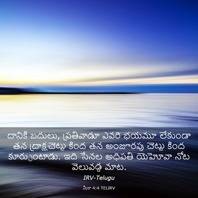 Picture 03 - మీకా 4:4 TELIRV - దానికి బదులు, - Bible Verse Picture